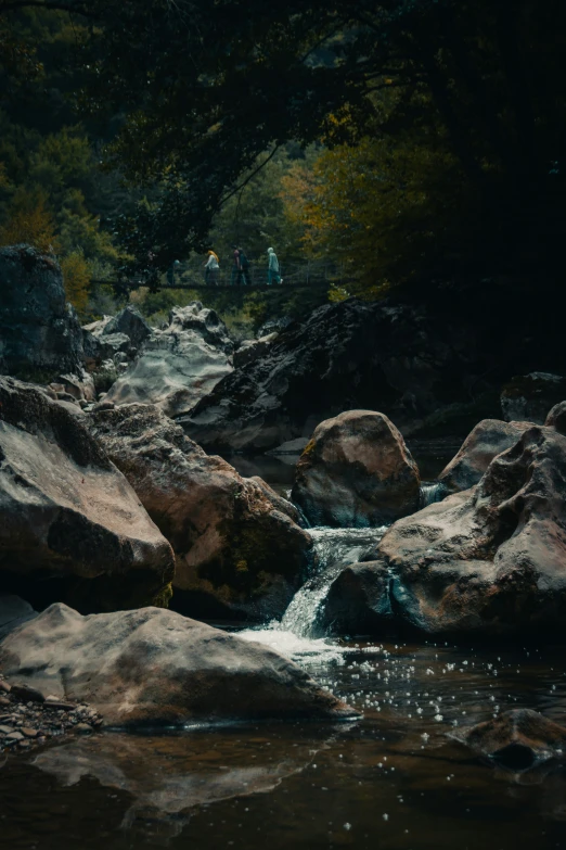 there is a stream in the middle of the woods