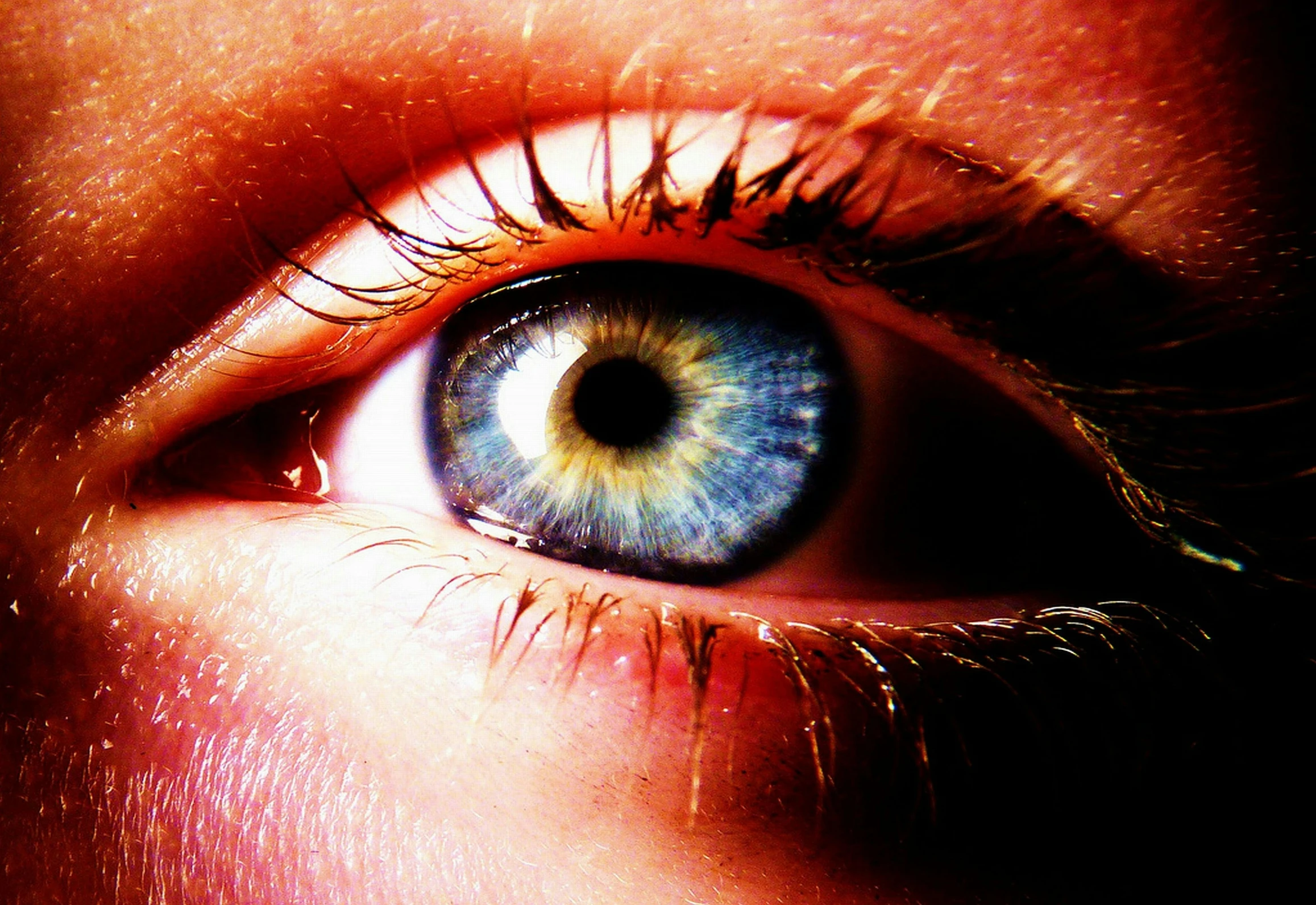 a very close up of someones eye with the reflection of the iris