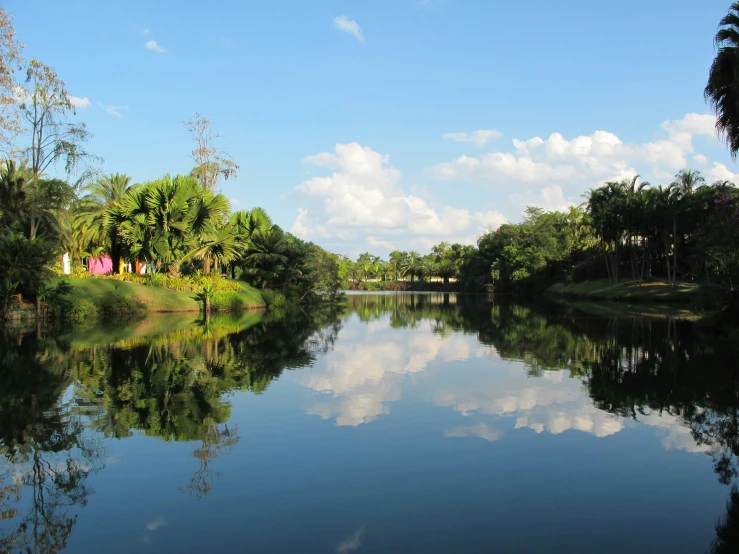 the waters are clear with green trees in the background