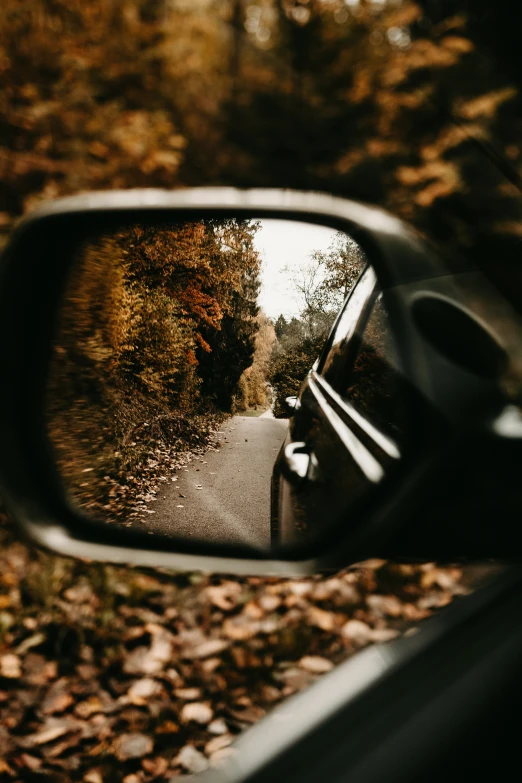 car mirror view of trees on side and road in fall