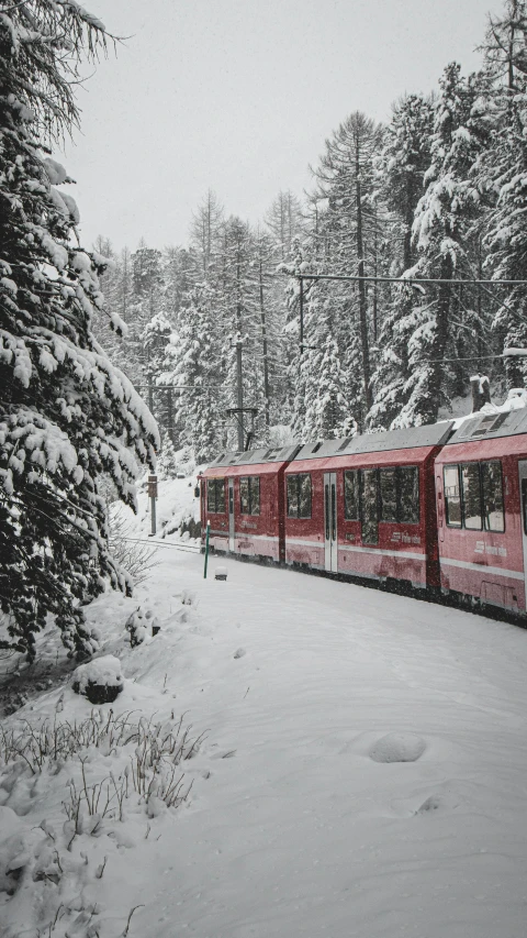 a red train moving through snowy woods next to a forest
