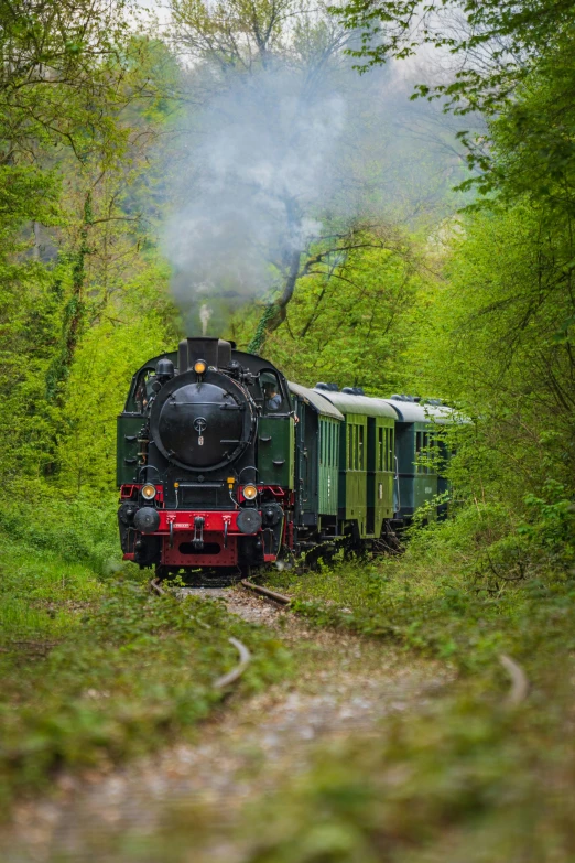 a train that is driving through a forest