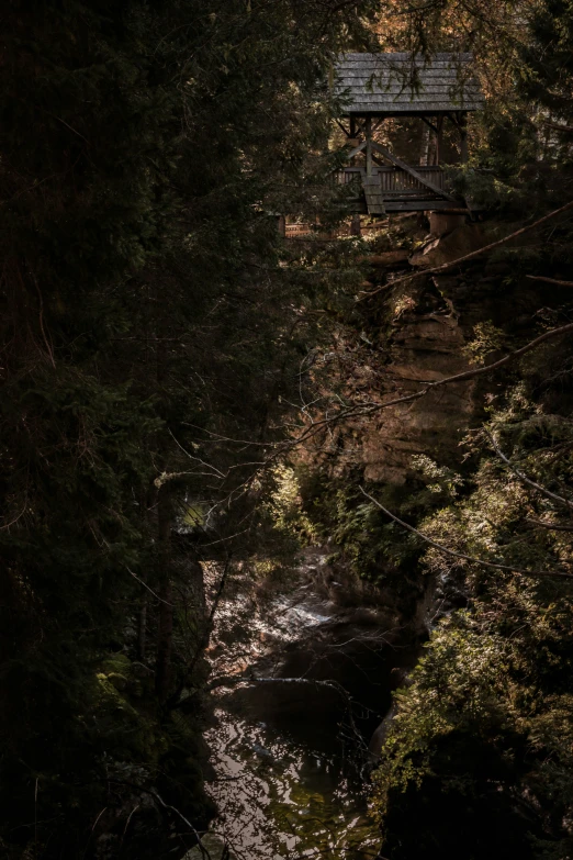 a small river running under a tree covered hillside