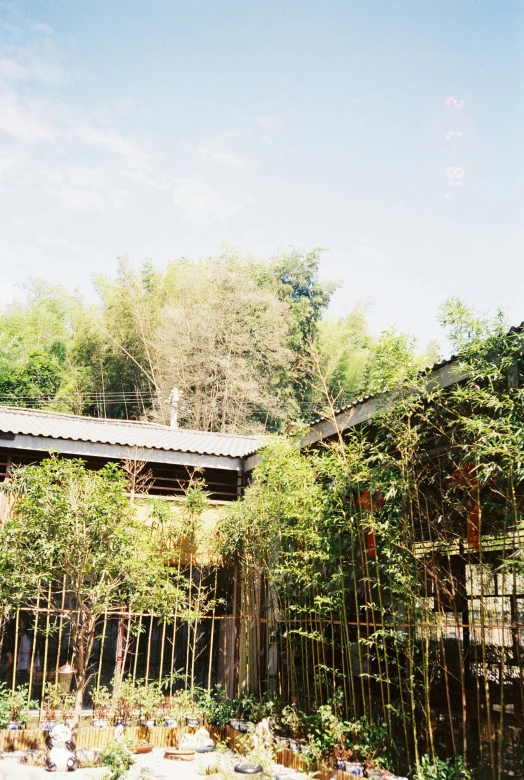 a small building surrounded by plants and trees