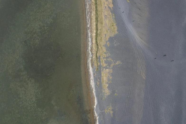 a bird flies near the water that is very shallow