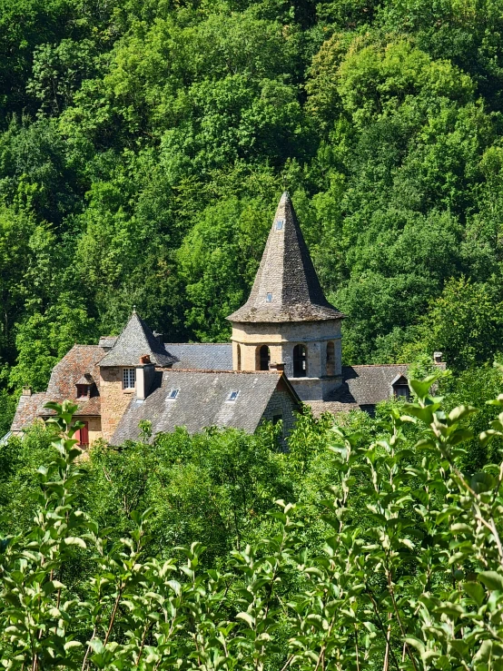a stone church is surrounded by greenery in the foreground