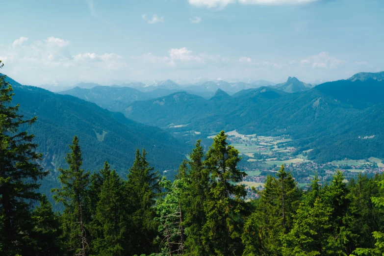 the view of a city nestled among the tall trees