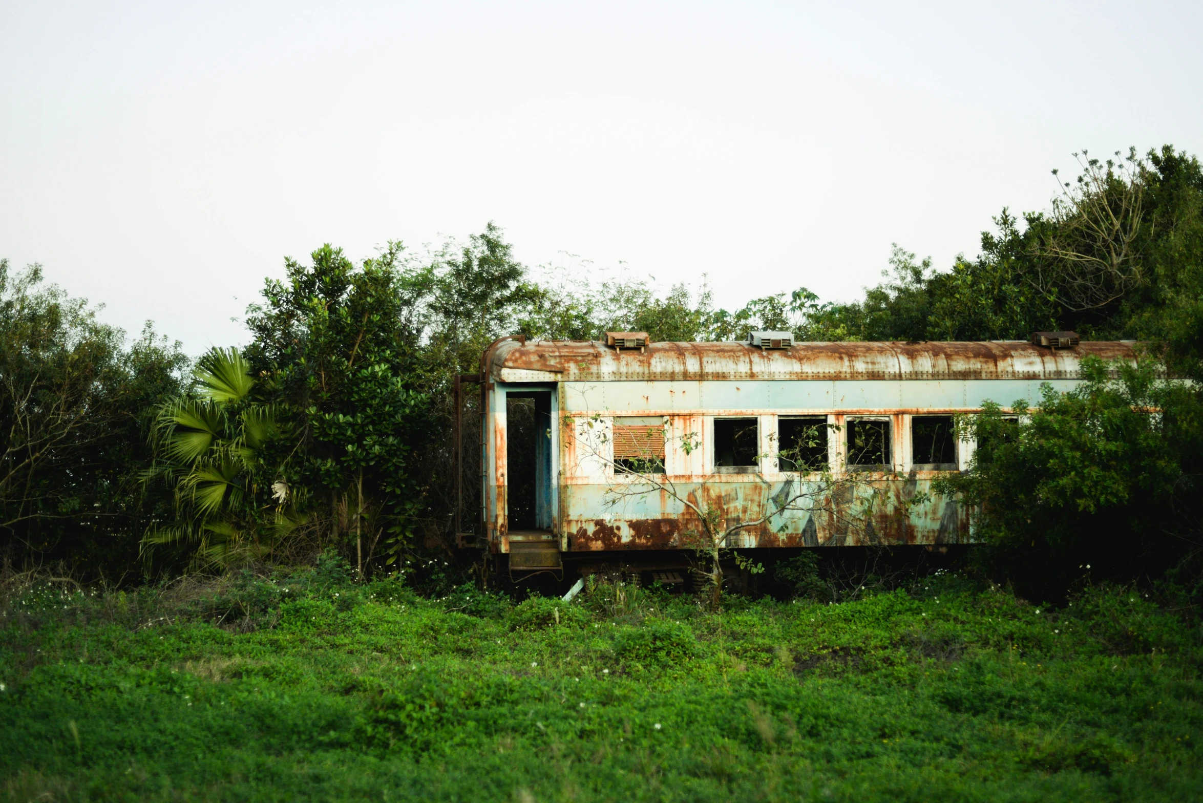 an abandoned train car with overgrown grass and bushes