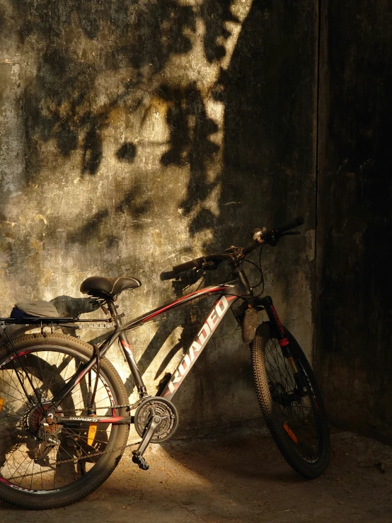 there is a bike leaning against the wall