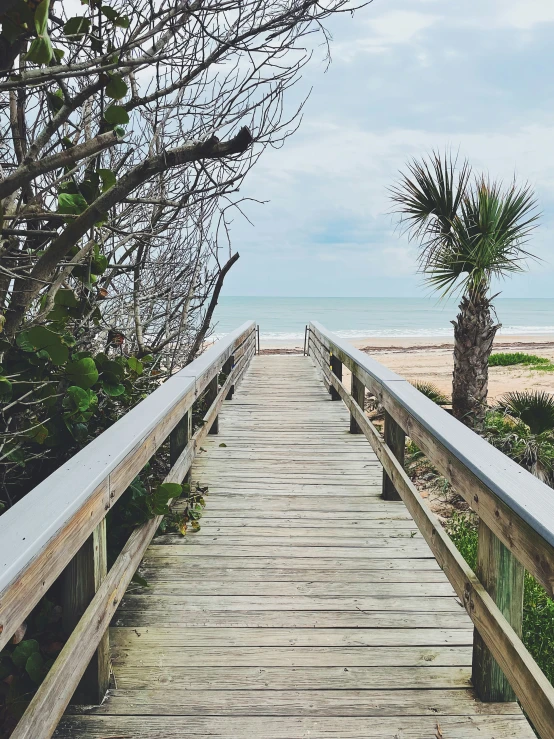 a very long wooden walkway with palm trees