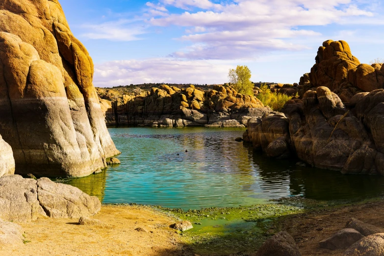 the pond at the bottom of the canyon is surrounded by large rocks