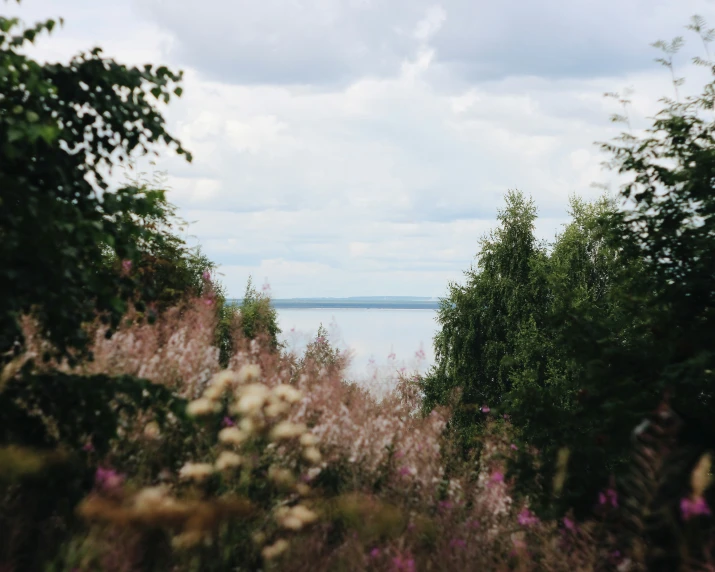 view of a lake with clouds in the background