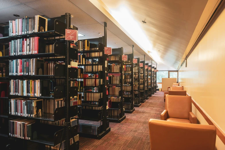 many books are on the shelves in a large room