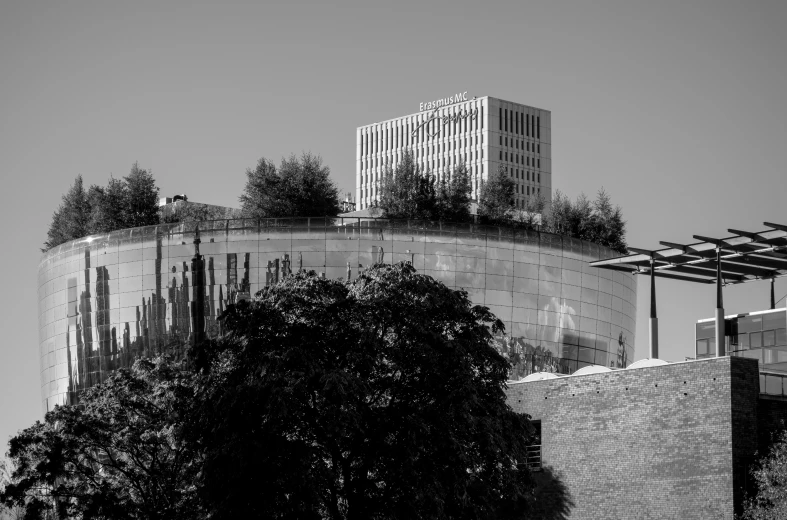 trees and a building with a lot of windows