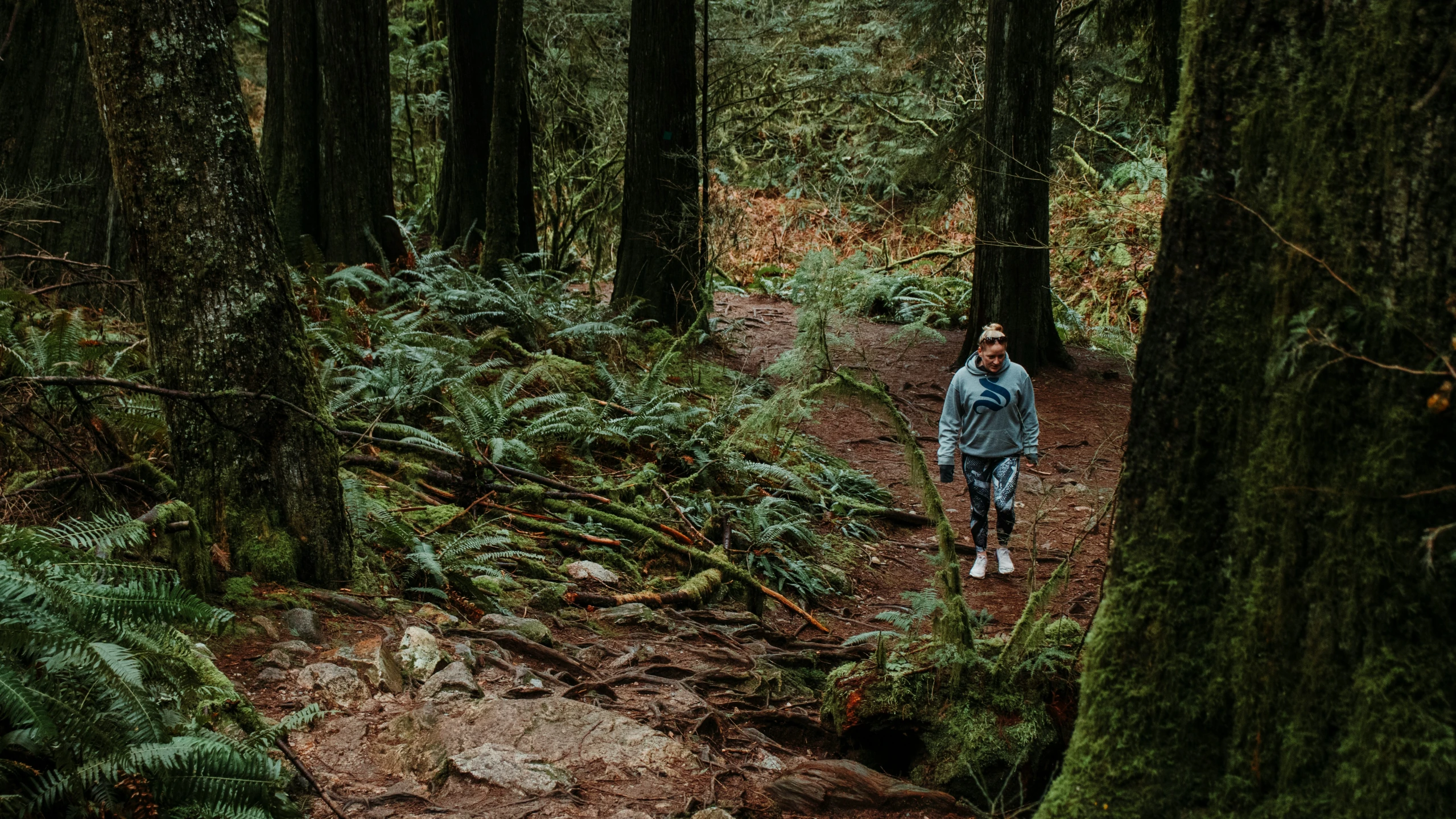 a man hiking through a forest area surrounded by tall trees