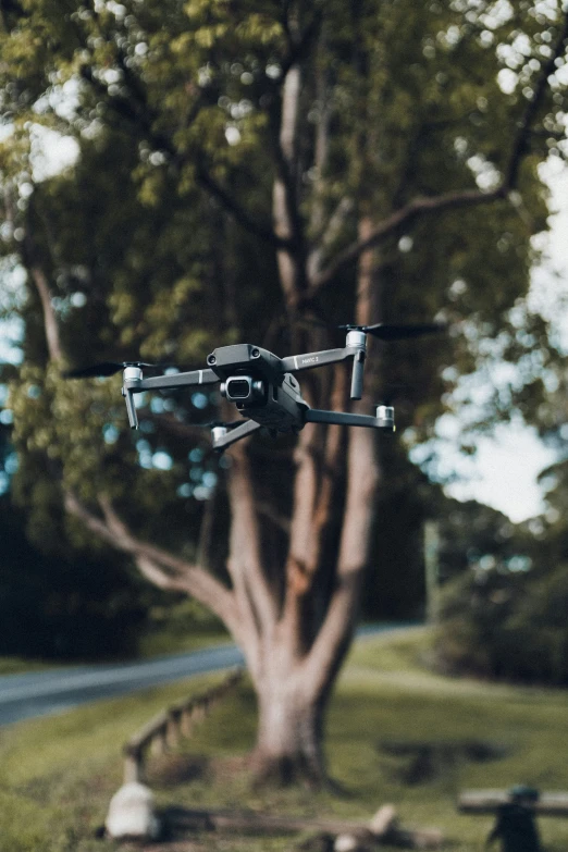 a quad camera flies over a park with a tree in the background