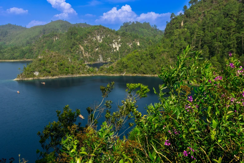 the green mountains are next to the water