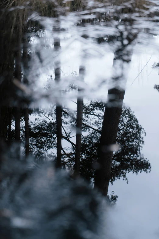 a reflection in a dle of water on the side of a road