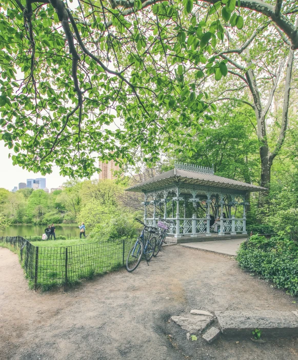 an image of a bench surrounded by trees and greenery