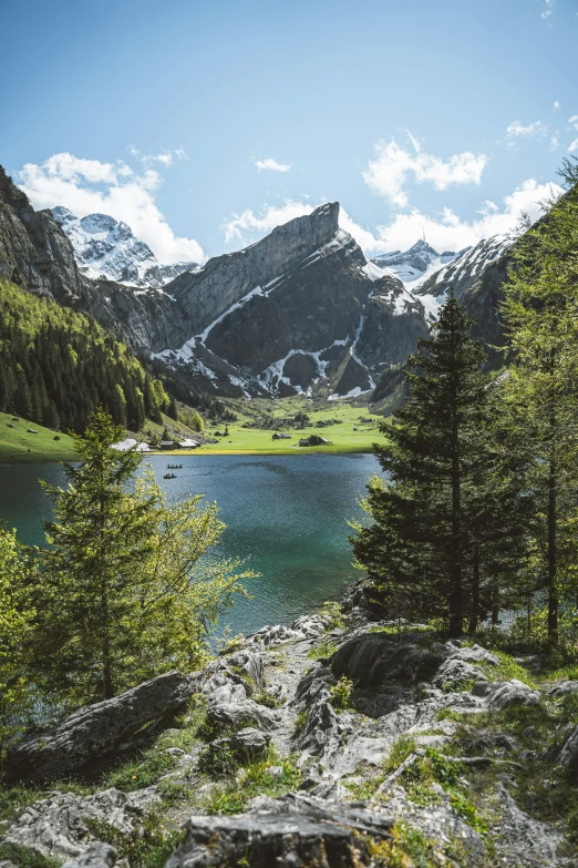 mountains are above a green lake with trees
