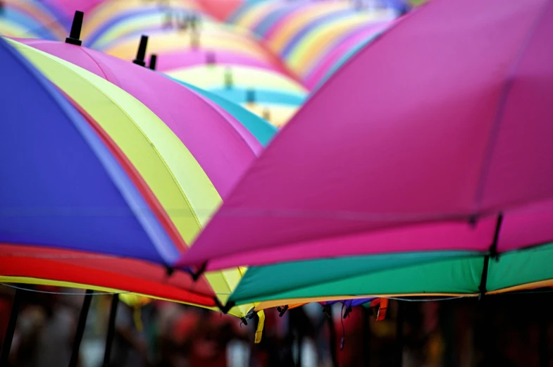 several umbrellas are colored very brightly in the rain