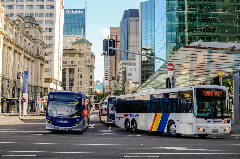 two busses sit side by side in the city