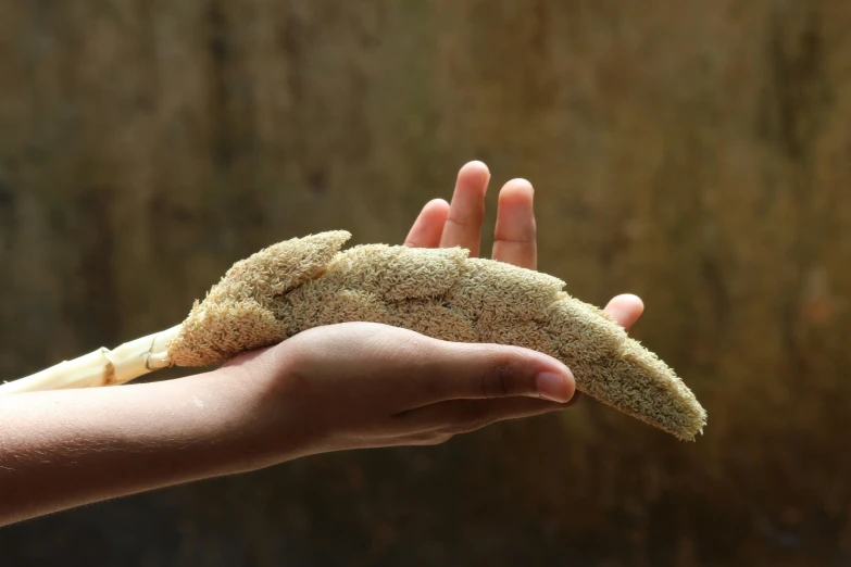 there is a person holding a stuffed animal