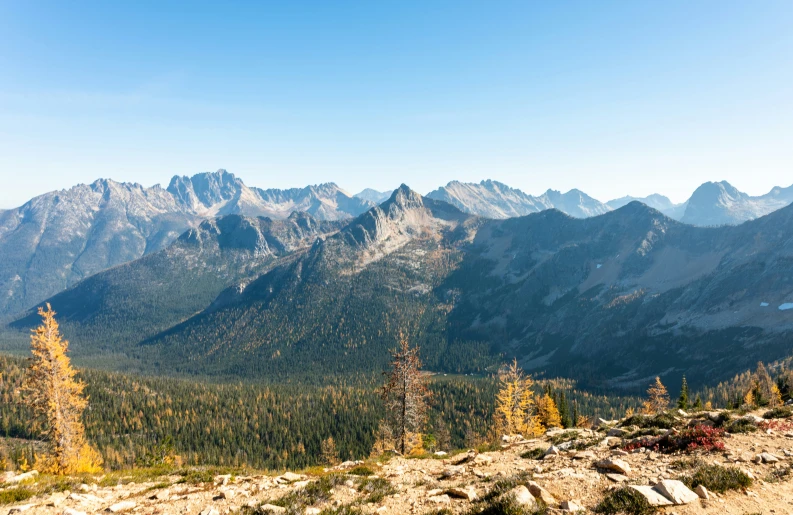 a mountain range with lots of trees in the foreground