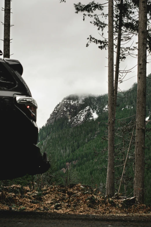 a car in the road near a forest