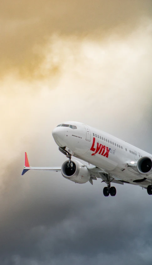 a large commercial jetliner flying in the sky