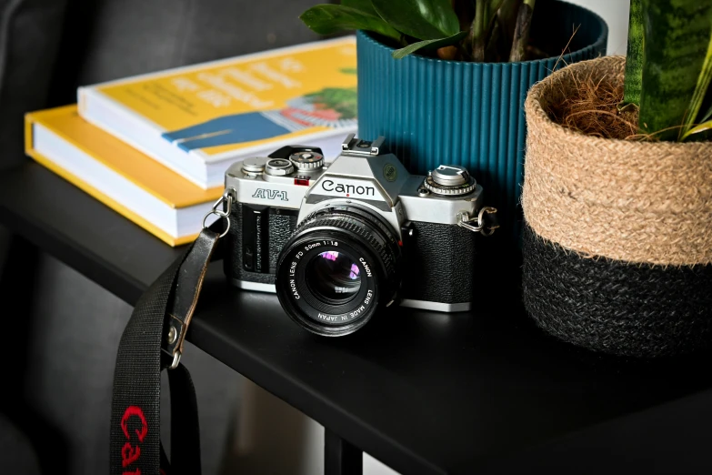 a camera next to a book and a flower pot