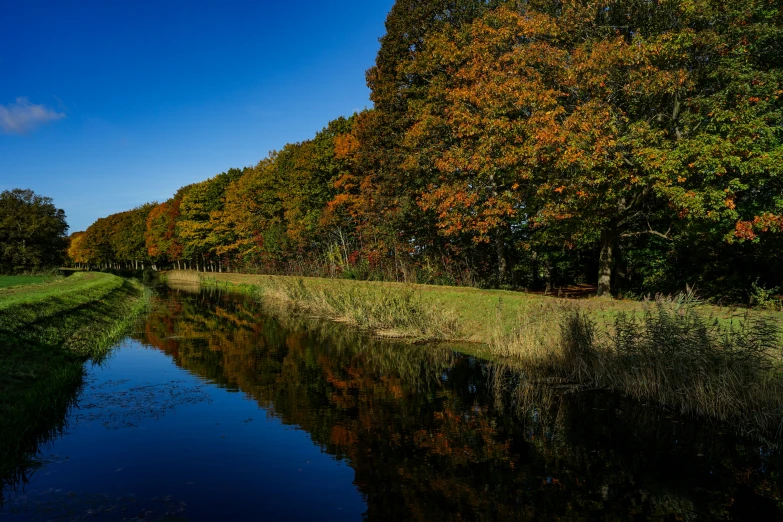 a view of the edge of some water near trees