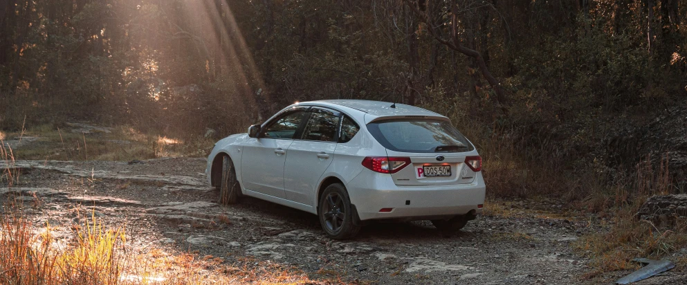 the hatchback is driving down a wooded dirt road