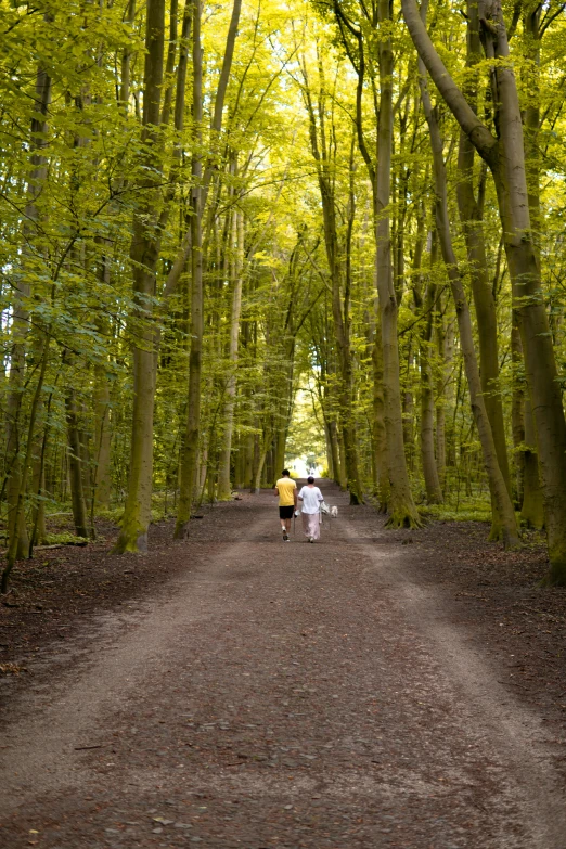 two people walk down a path holding umbrellas