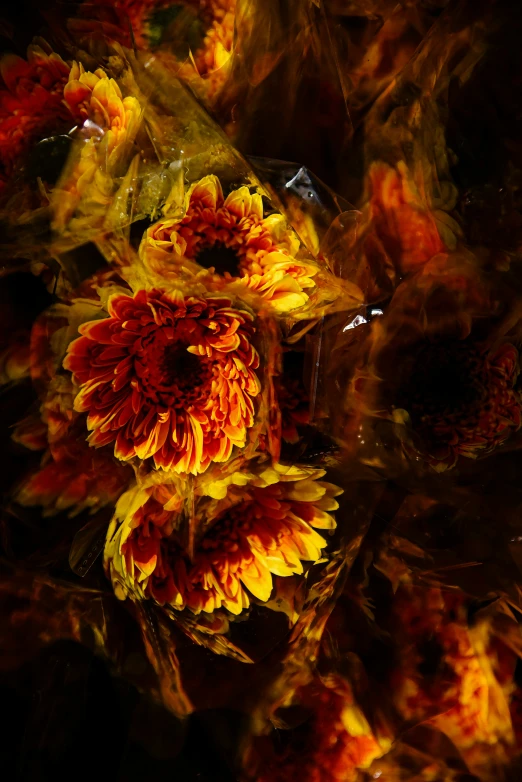 an abstract pograph of a sunflower that is being reflected in water