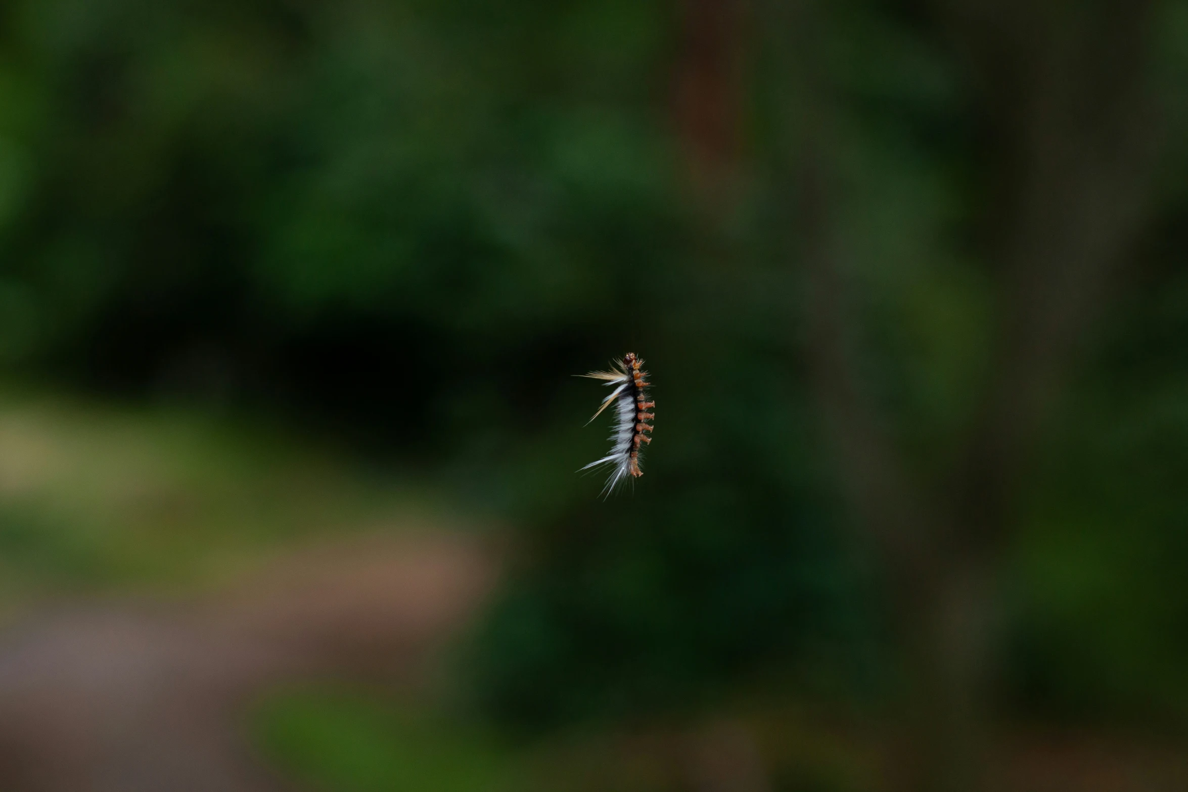 a mosquito is flying past some trees