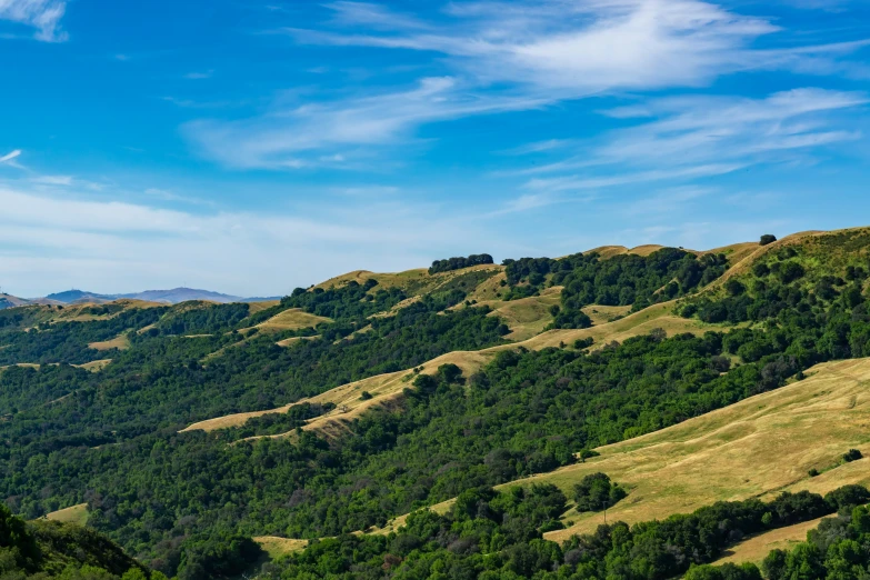 lush, rolling hills and trees stand against the blue sky