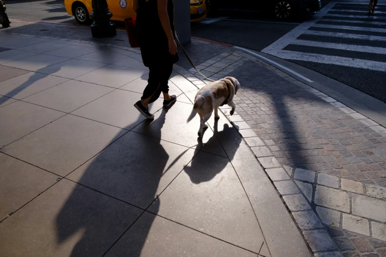 a man is walking his dog down the sidewalk