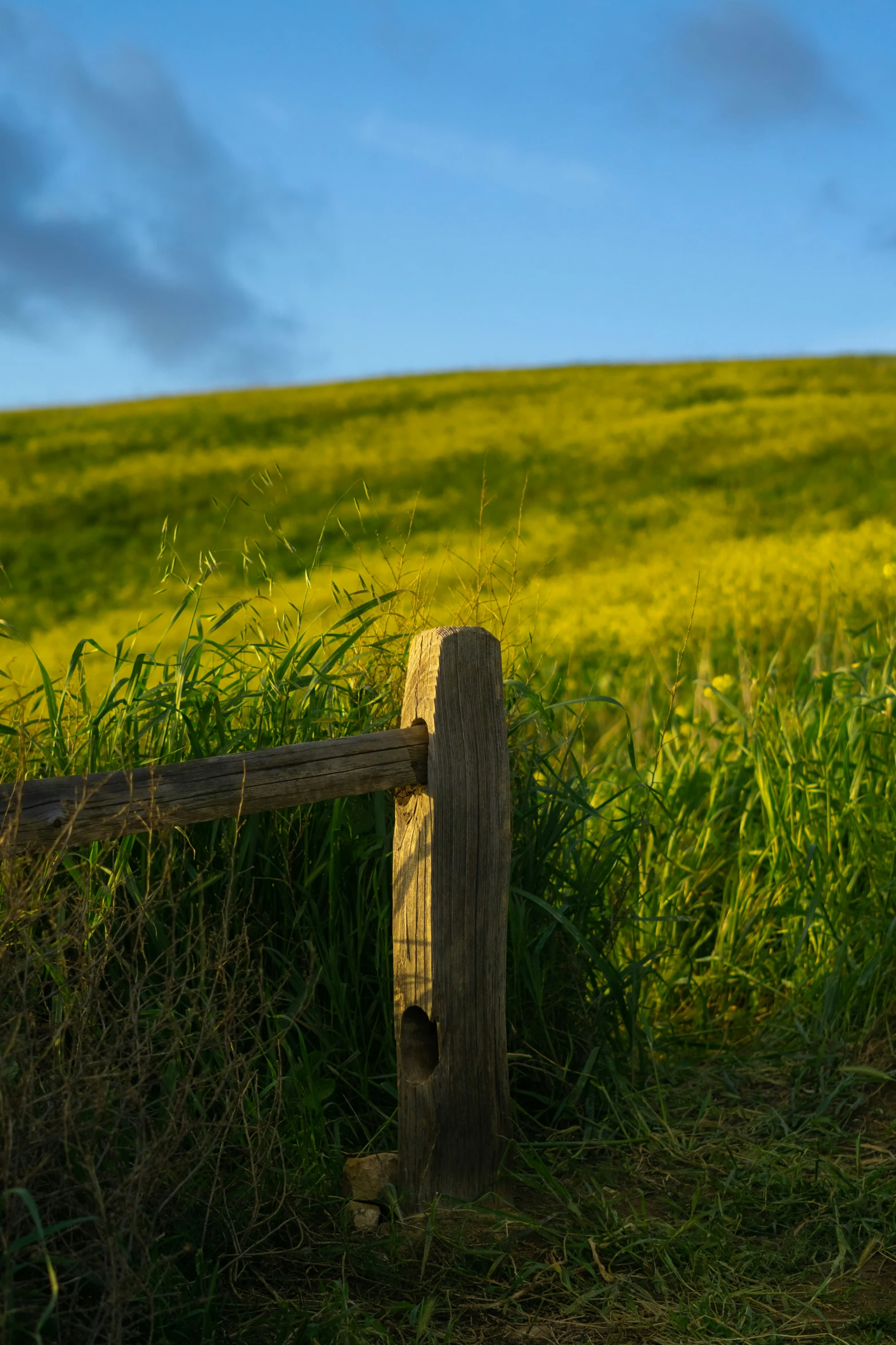 a wooden fence surrounded by lush green grass