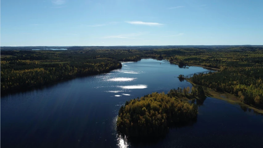 a river in the middle of a large forest