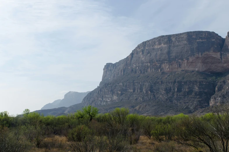 large mountains stand with shrubs and trees in front