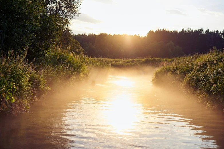 the sun shines over a river in the morning