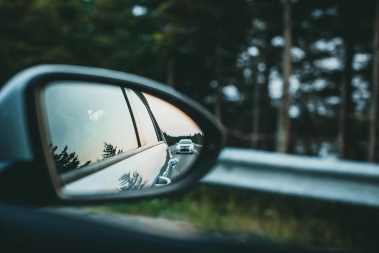 a rear view mirror reflecting a palm tree with its reflection in it