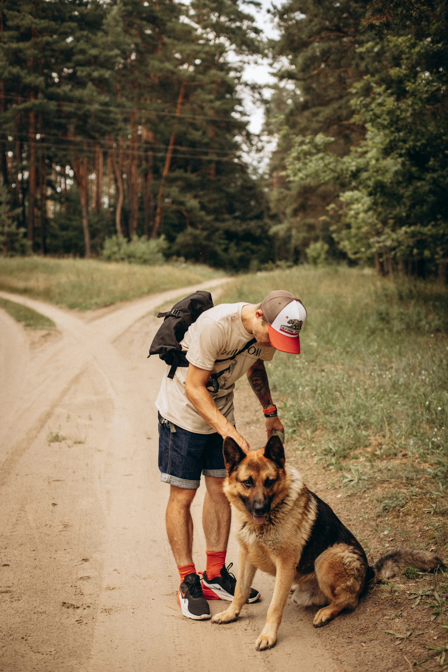 a man on a skateboard and a dog are standing on the road