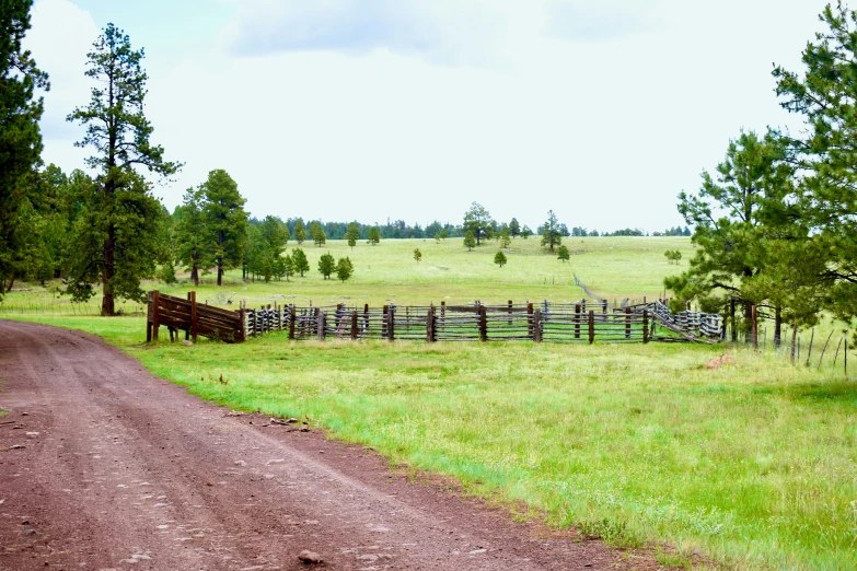 two horses are standing near a wooden fence