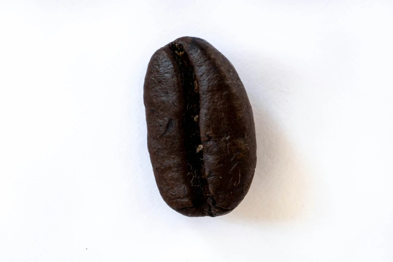 the coffee bean is placed next to the black coffee beans