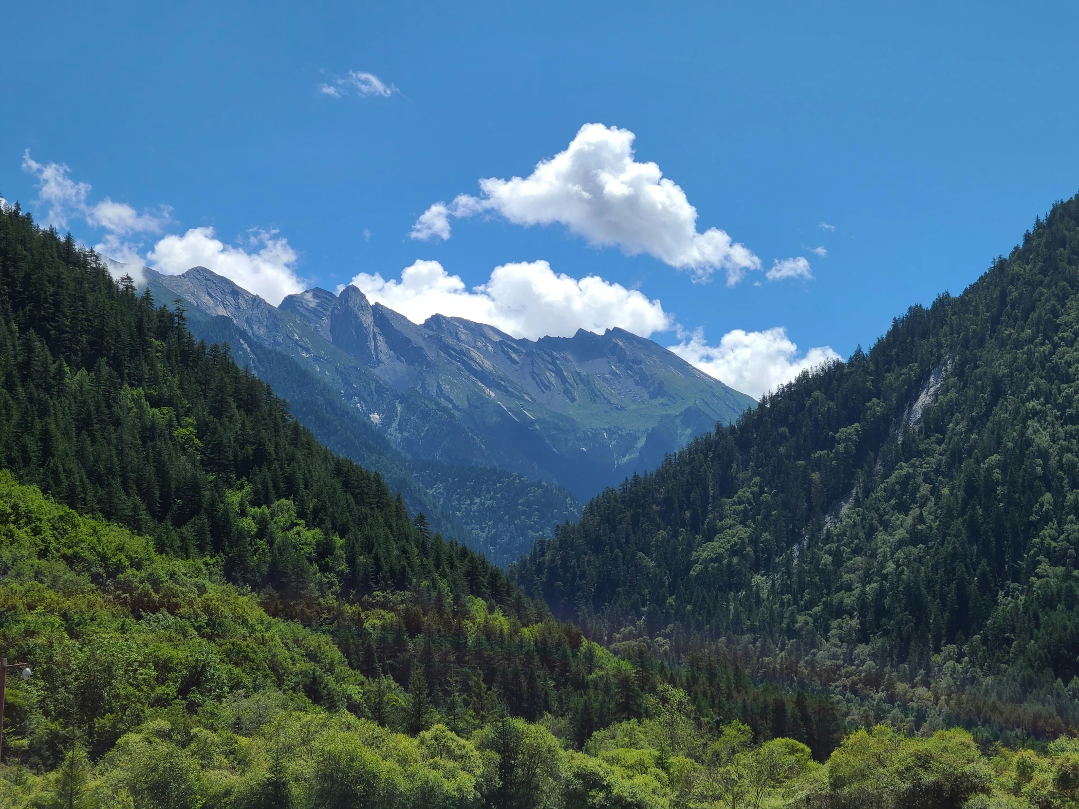 some mountains are covered in grass and trees