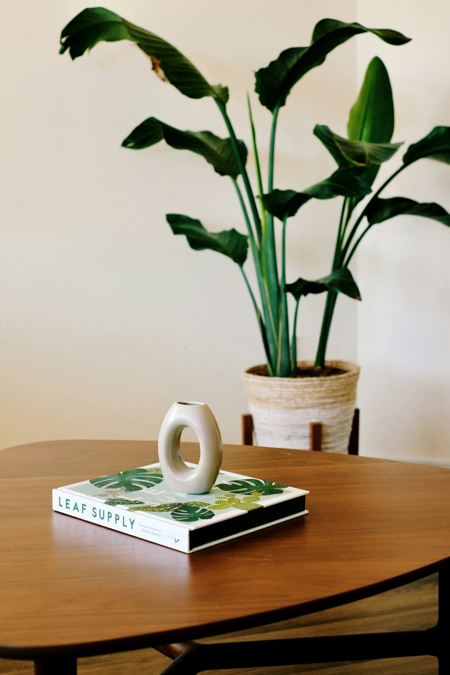 a table topped with a vase filled with green plants