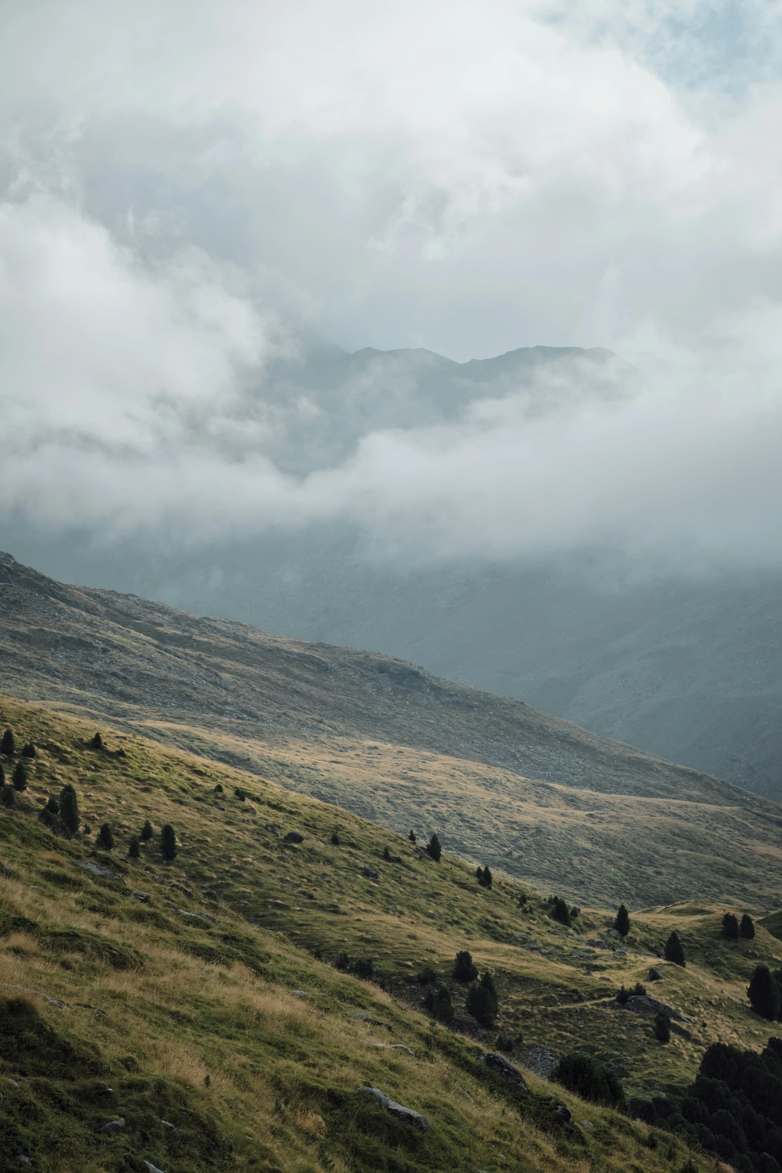 some mountains are in the background covered with cloud