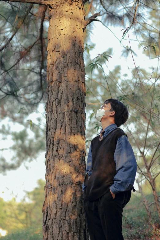 a young man is climbing up the tree